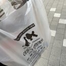 야옹아 멍멍해봐 오산점 이미지