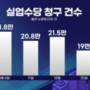 도그비앤비 티스토리