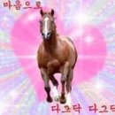 플레이스엉물 이미지