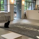 우리재천 이미지