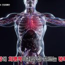 오늘부터 대구MBC에서 1일 3회 당독소 예방 켐페인 방송이 나갑니다. 이미지