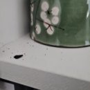 벌터경로당 이미지