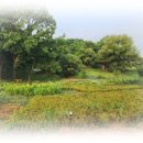 에코바른정형외과의원 이미지