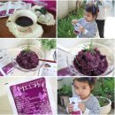 가평운악산포도과즙음료영농조합 | 포도즙 운악산가평포도과즙 찐하고 맛좋아 추천