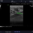 나의 동물메디컬 센터 이미지