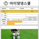 마이댕댕스쿨 이미지