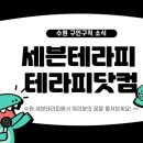 세븐테라피