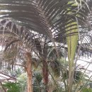 글래스메이트안경 이미지