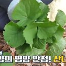 염곡말길 13 이미지