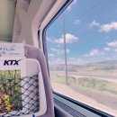 드롭탑 오송역 언더패스점 이미지