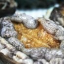 순돌이네 식품 이미지