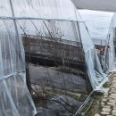 선산우리의원 이미지