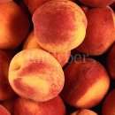 강산공인중개사사무소 이미지