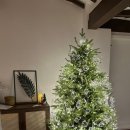 그담스테이 이미지