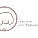 김재용애견미용학원 이미지