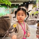 맑고향기로운연꽃동산어린이집 이미지