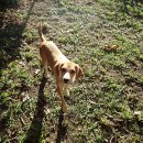 자연동물병원 이미지