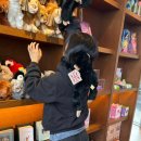 아난티남해 워터하우스 | [남해 여행중!] 힐링 가득했던 아난티 남해 숙박 후기 🛋️✨ (워터하우스/객실/조식정보)