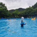 금광관광농원 이미지