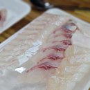 한바다참치 이미지