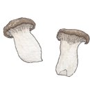 마산부동산공인중개사사무소 이미지