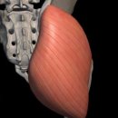 스텝업GYM | 《부산더매력짐당감》《당감피티》《개금피티》🦵 무릎통증 원인과 운동, 스트레칭, 예방법 &amp; 수술 후...