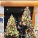 캠프도고 이미지