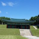 상소업 서울신문