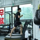 챔프 | 분당 서현 더챔프복싱 대회 후기