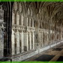 수동물병원 이미지