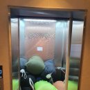 한영세탁 이미지