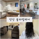 양산미용실 블라썸헤어 양산히피펌 솔직후기 범어미용실 증산미용실 추천