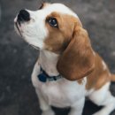 비뇨기 질환 이미지