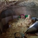 깍꼬뽁꼬 이미지