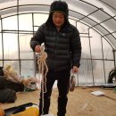 서해안 3구간 두번째 이야기( 서해 한뼘 제방길) 이미지