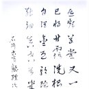 석주건재 이미지