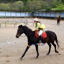 순천-15호 이미지