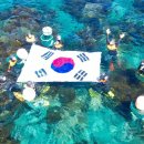 제주바다연 이미지