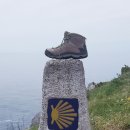 피스테라 이미지