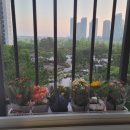 송도프라임뷰공인중개사사무소 이미지