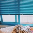 씨유대전중리하하호호점 | 제주여행 : 스쿠터타고 제주 한바퀴 (6)