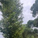 정양농장 이미지