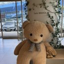 트윈브릿지 이미지