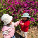 철마숲어린이집 이미지