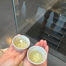 유한회사  제주사랑여행사 | 여행 day 2,3 (금호 제주리조트, 백한철 꽈배기, 남원...뮤지엄 티클래스 후기, 포도뮤지엄, 포도호텔...