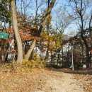 아름초등학교 이미지