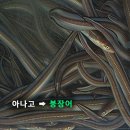 생선회 바로 알고 먹자!! 2탄 이미지