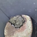 수원-0724 이미지