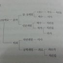 테크트리 이미지