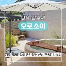 경북이불수선 | 경주 황리단길 <오로소이> 황리단길 신상숙소 예약, 후기